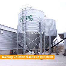 Farming Port Designed Geflügel Chicken Feed Silo für Geflügel Ausrüstung